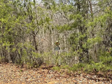 LT29 Wilderness Creek Way Murphy NC 28906
