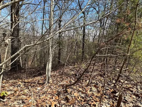 LT29 Wilderness Creek Way Murphy NC 28906