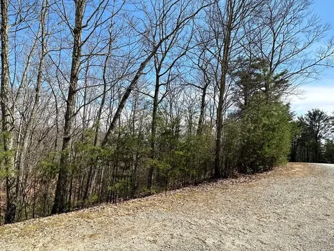 LT29 Wilderness Creek Way Murphy NC 28906