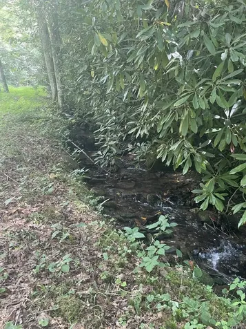 LOT17/18 Long Creek Lane Bryson City NC 28713