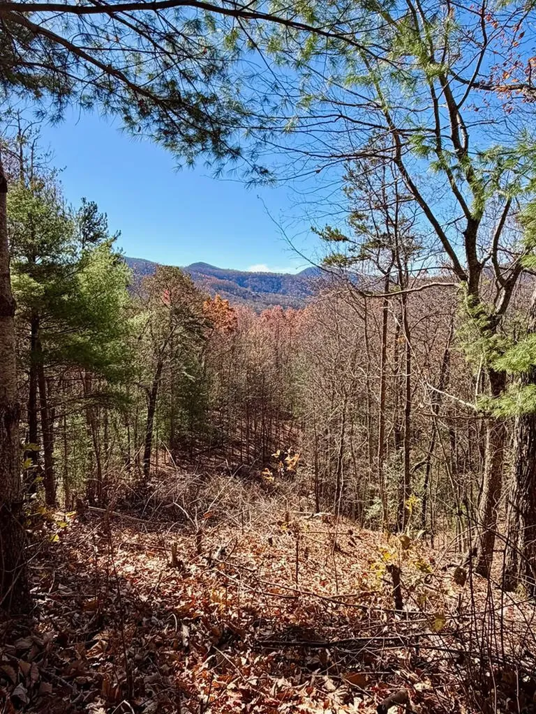 Lot 15 View Ridge Trail Murphy NC 28906