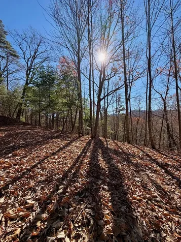 Lot 15 View Ridge Trail Murphy NC 28906