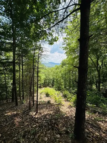 Lot 15 View Ridge Trail Murphy NC 28906