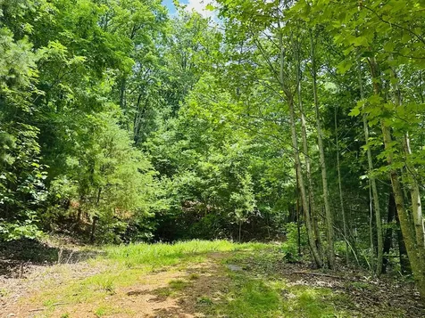 Lot 15 View Ridge Trail Murphy NC 28906