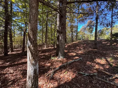 00 Sugarberry Lane Murphy NC 28906