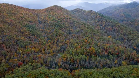 139 Land Iu Gap Road Robbinsville NC 28771