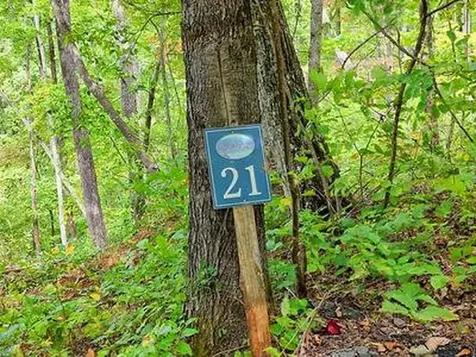 Lot 21 Skyview Hayesville NC 28904