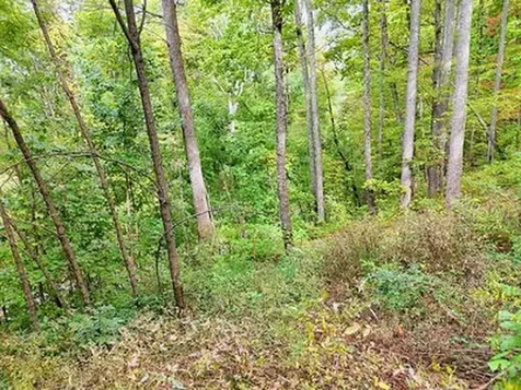 Lot 21 Skyview Hayesville NC 28904