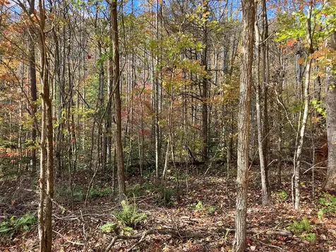 39A Hedden Stiles Murphy NC 28906