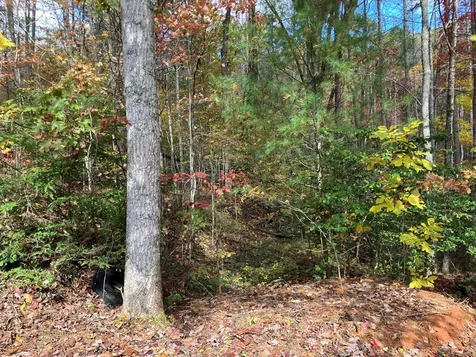 39A Hedden Stiles Murphy NC 28906