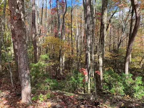 39A Hedden Stiles Murphy NC 28906