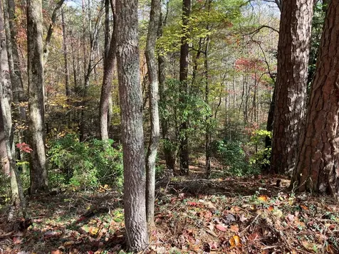 39A Hedden Stiles Murphy NC 28906