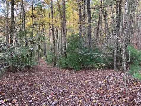 39A Hedden Stiles Murphy NC 28906