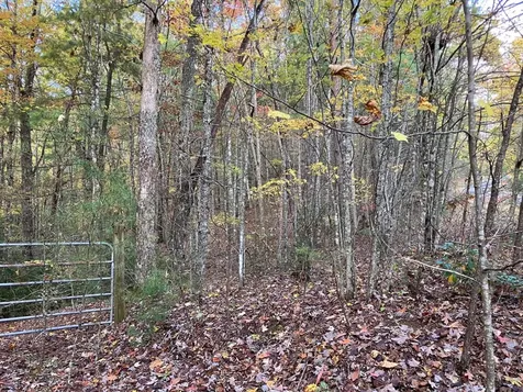 39A Hedden Stiles Murphy NC 28906