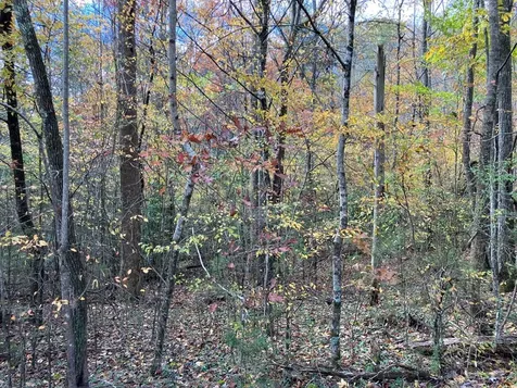 39A Hedden Stiles Murphy NC 28906