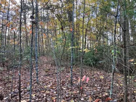 39A Hedden Stiles Murphy NC 28906