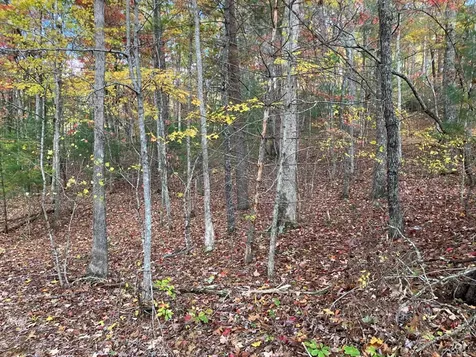 39A Hedden Stiles Murphy NC 28906