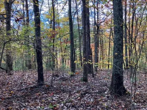 39A Hedden Stiles Murphy NC 28906