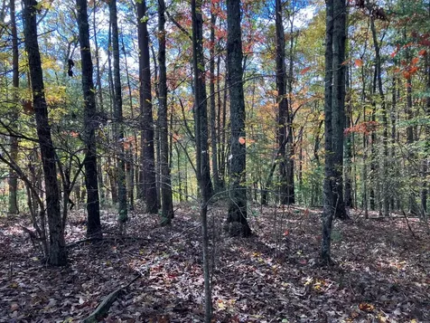 39A Hedden Stiles Murphy NC 28906