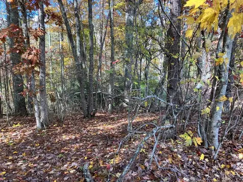39A Hedden Stiles Murphy NC 28906