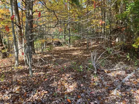 39A Hedden Stiles Murphy NC 28906