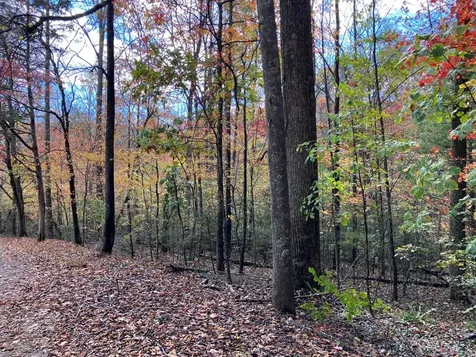 39A Hedden Stiles Murphy NC 28906