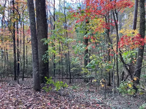 39A Hedden Stiles Murphy NC 28906