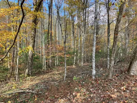 39A Hedden Stiles Murphy NC 28906