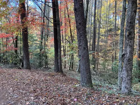39A Hedden Stiles Murphy NC 28906