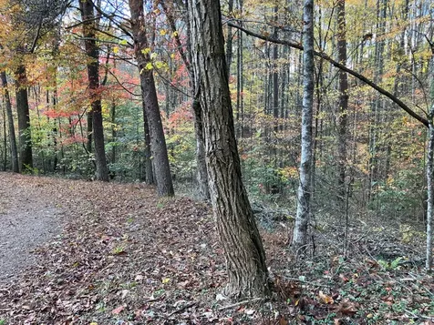 39A Hedden Stiles Murphy NC 28906