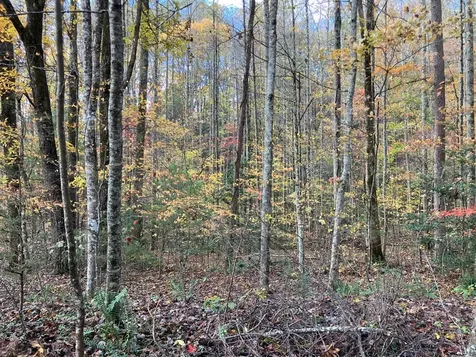 39A Hedden Stiles Murphy NC 28906