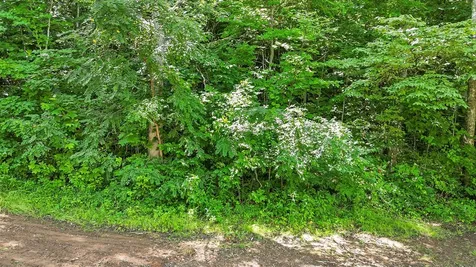 Off 1343 Orenda Drive Franklin NC 28734