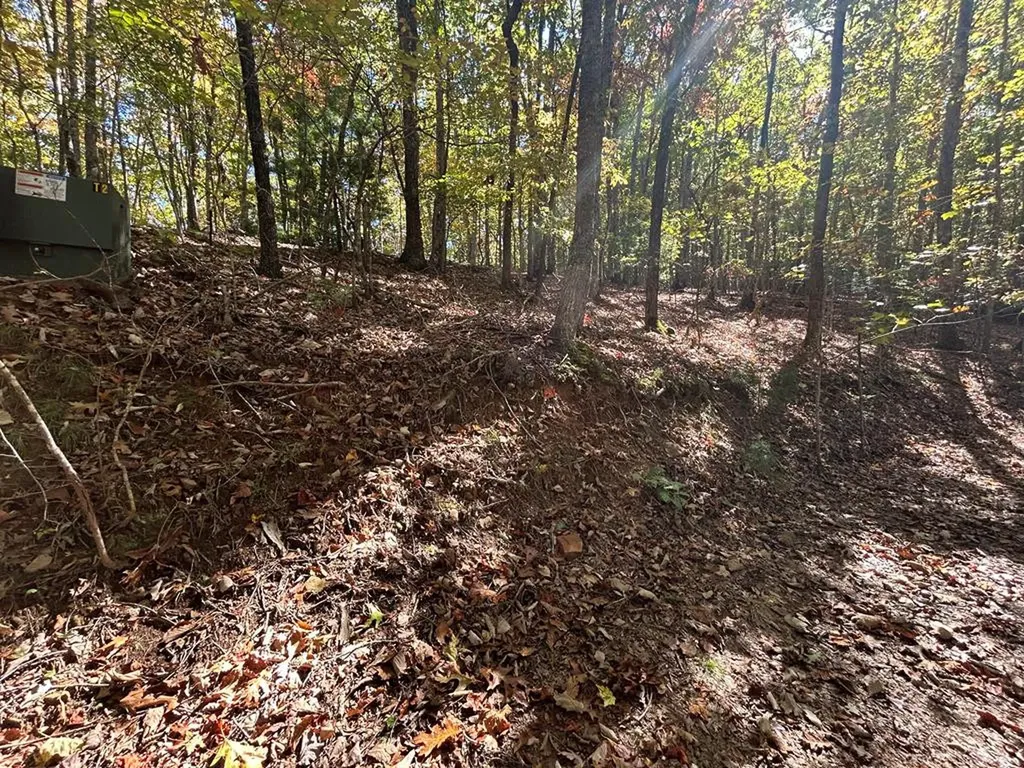 Lot 1 &2 Royal Oaks Brasstown NC 28902