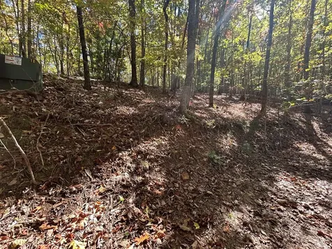 Lot 1 &2 Royal Oaks Brasstown NC 28902