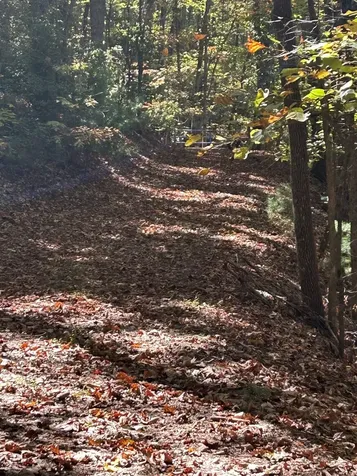 Lot 1 &2 Royal Oaks Brasstown NC 28902