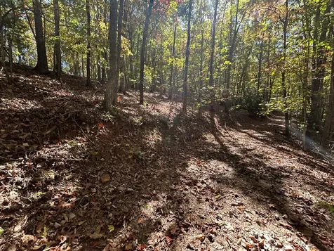 Lot 1 &2 Royal Oaks Brasstown NC 28902