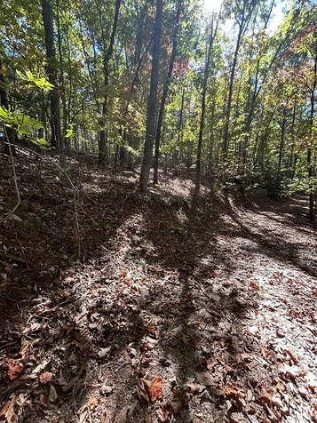 Lot 1 &2 Royal Oaks Brasstown NC 28902