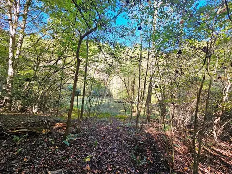 Lot 12 Kaitlan Lane Murphy NC 28906