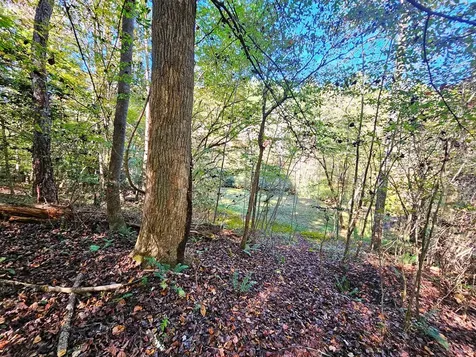 Lot 12 Kaitlan Lane Murphy NC 28906