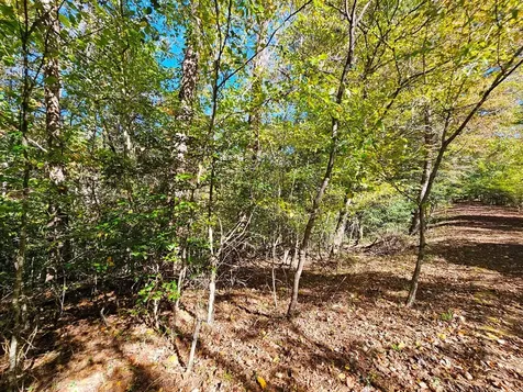 Lot 12 Kaitlan Lane Murphy NC 28906