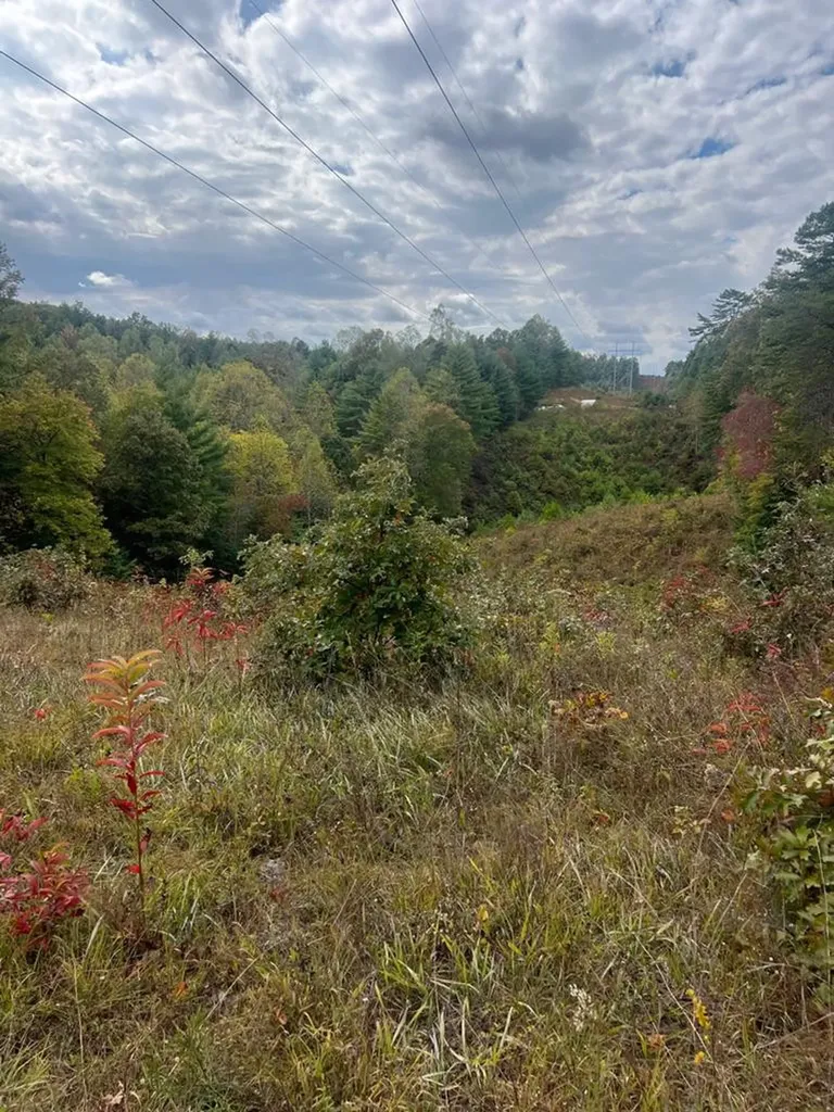 Tbd John Taylor Road Murphy NC 28906