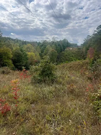 Tbd John Taylor Road Murphy NC 28906