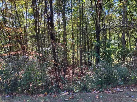 28/29 Sanctuary Drive Murphy NC 28906