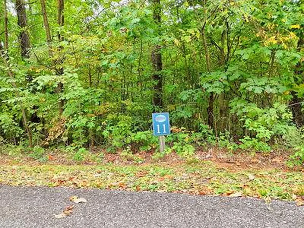 Lot 11 Skyview Drive Hayesville NC 28904