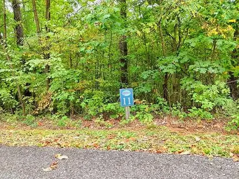 Lot 11 Skyview Drive Hayesville NC 28904