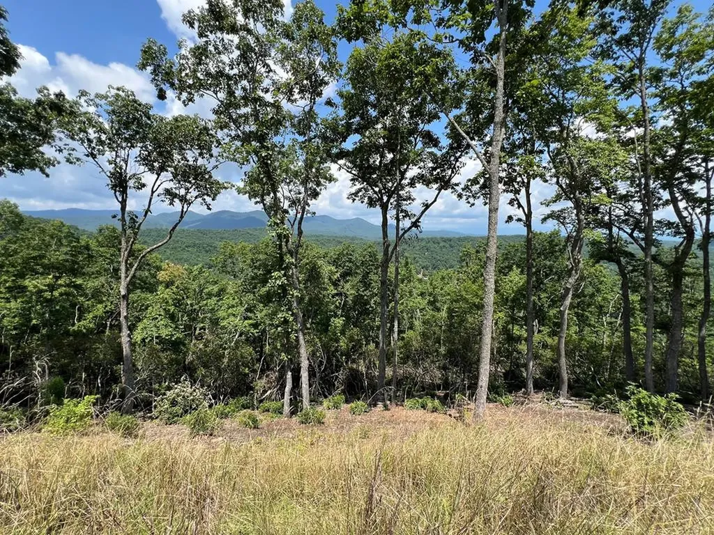 Lot 182 Skyline View Drive Murphy NC 28906