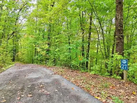 Lot 27 Skyview Drive Hayesville NC 28904