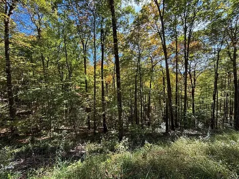 Lots 3 & 4 Holly Ridge Road Topton NC 28781