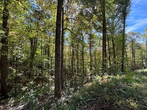 Lots 3 & 4 Holly Ridge Road Topton NC 28781