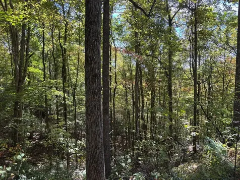 Lots 3 & 4 Holly Ridge Road Topton NC 28781